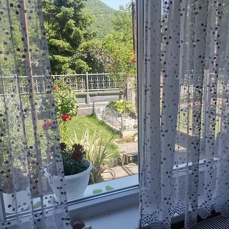Vesna Daire Ovcar Banja