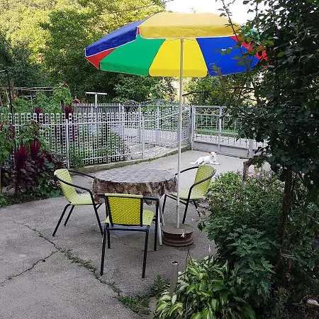 Vesna Ovcar Banja