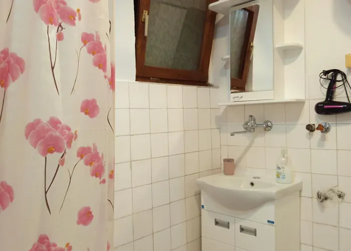 Vesna * オヴチャル・バニャ