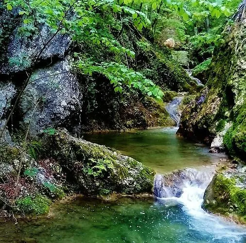 Vesna アパート *